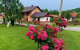 Guesthouse Diva Grabovceva